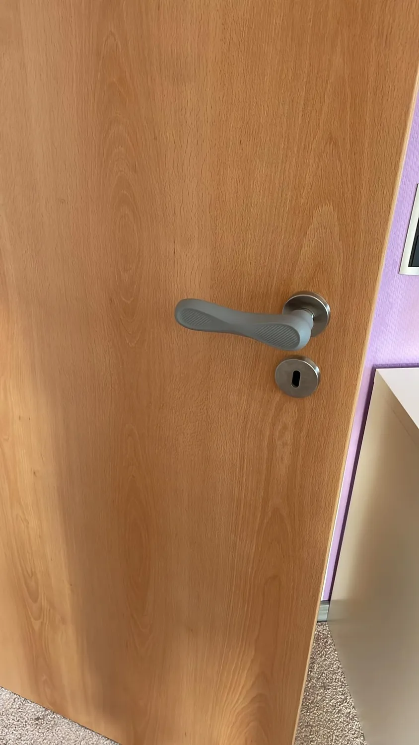 reer HandleGuard Türgriffschutz 4 Stück Silikon Grau