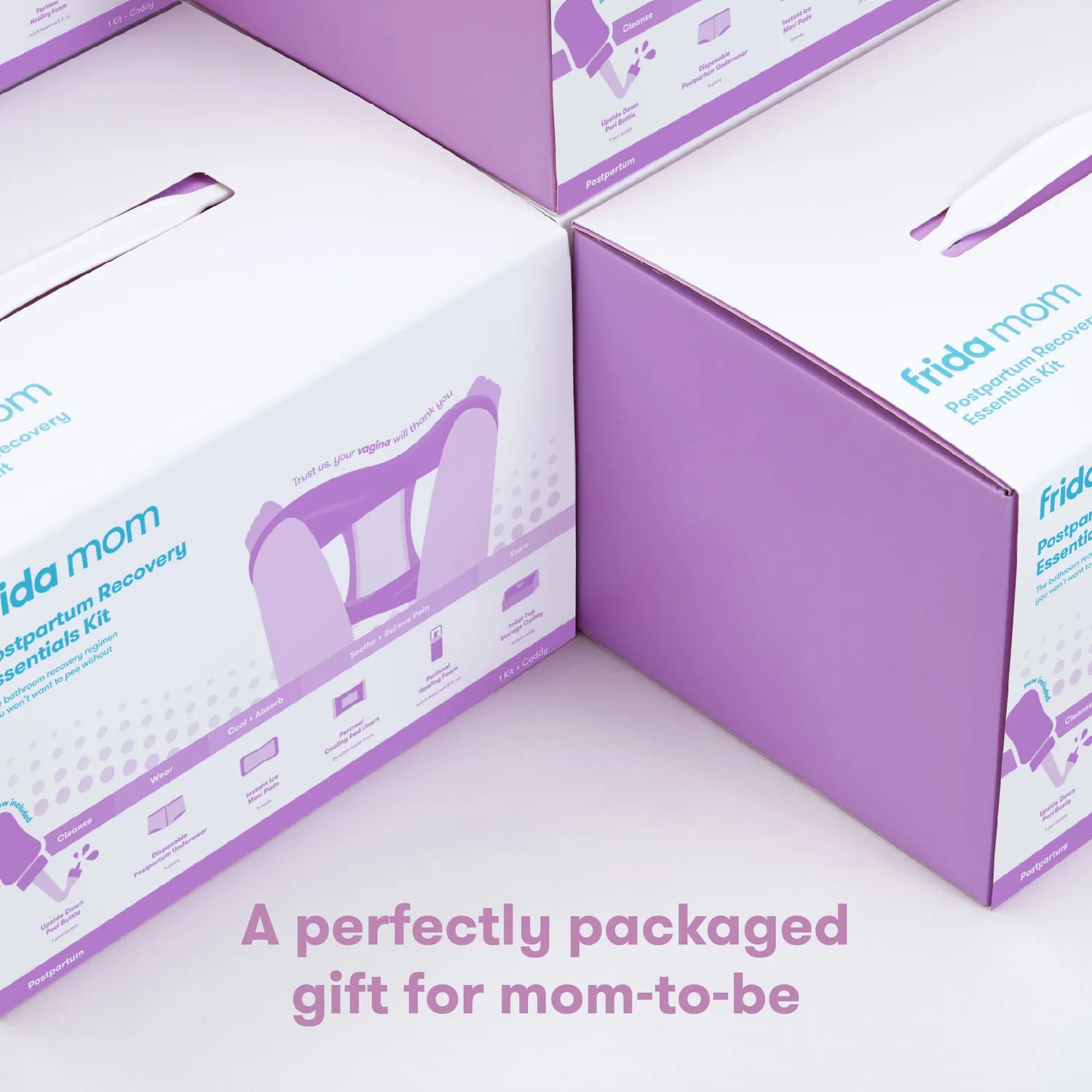 Frida Mom Recovery Essentials Wochenbett Set mit Peri Flasche