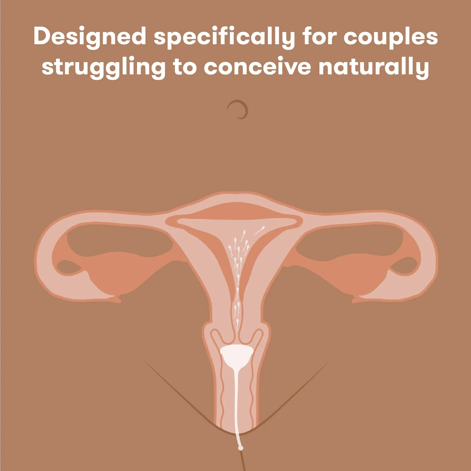 Frida Conception Aid Cup Silikon 1er