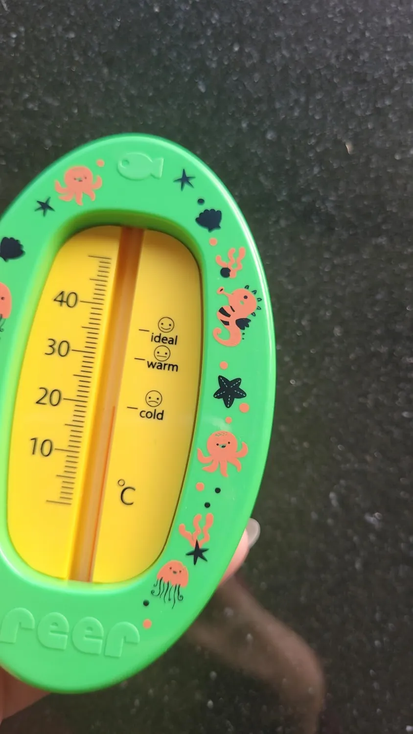 Reer Baby-Thermometer Badethermometer grau bruchsicher