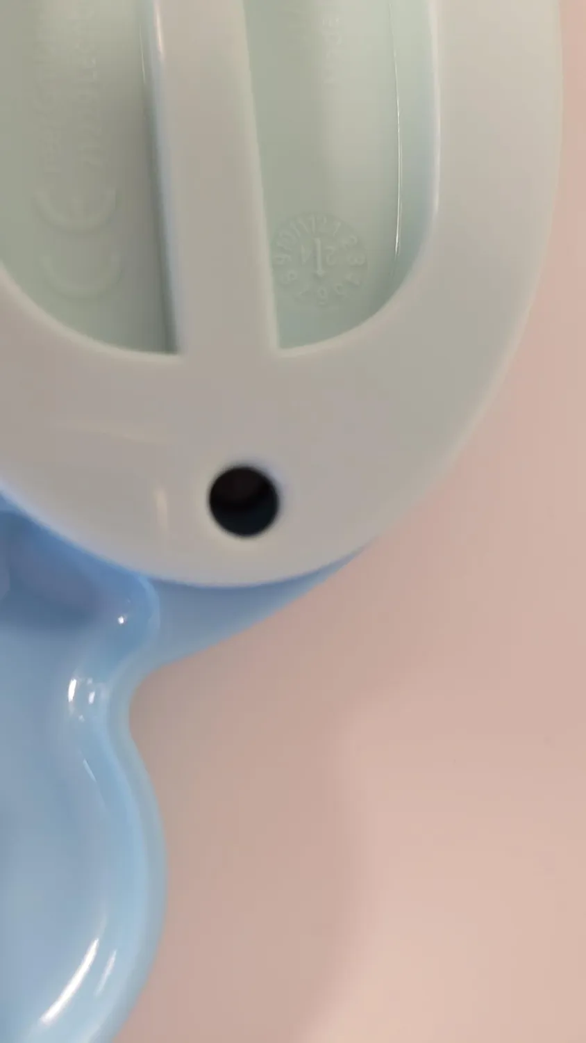 Reer Schildkröte Baby-Badethermometer quecksilberfrei