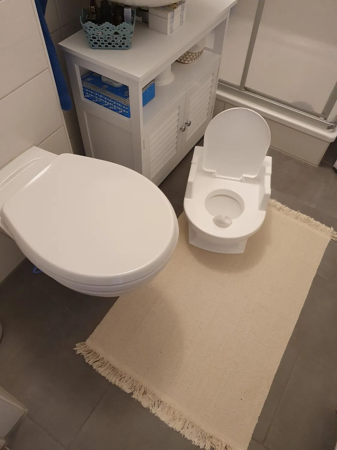 Reer SitzFritz Töpfchen Grau 1:1 Toilette