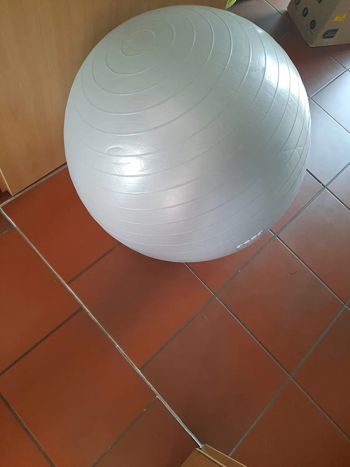 Reer Gymnastikball Schwangerschaft 65cm grau 120kg