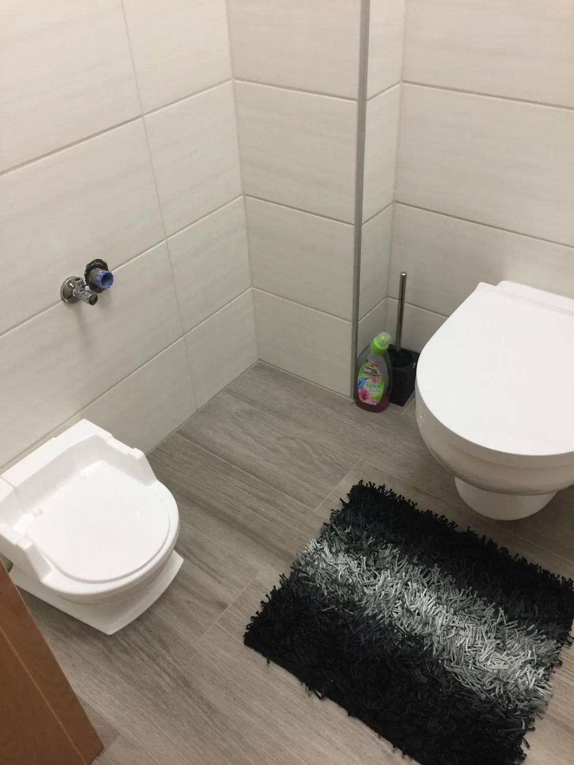 Reer SitzFritz Töpfchen Grau 1:1 Toilette
