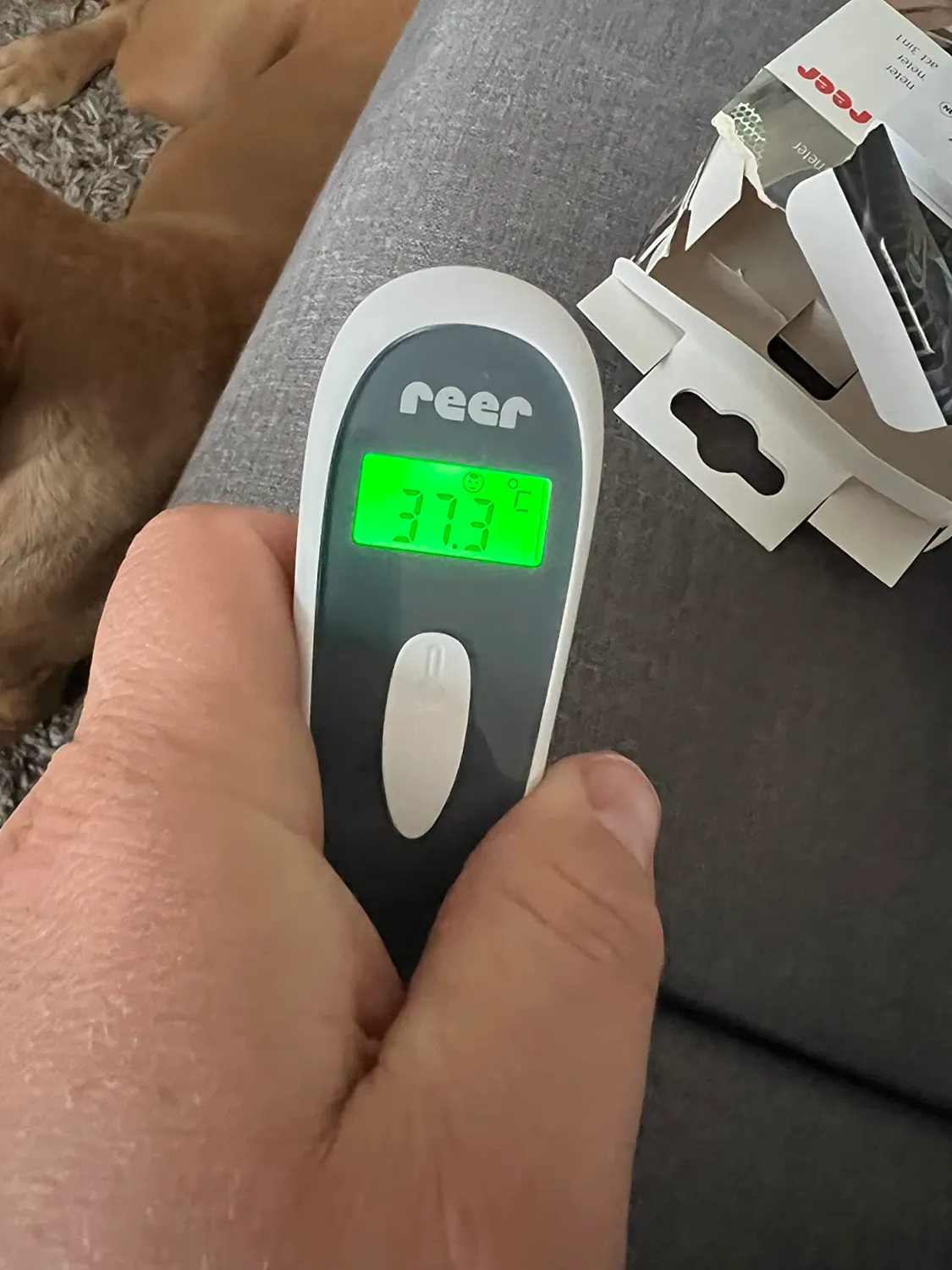 Reer Colour SoftTemp 3in1 Fieberthermometer kontaktlos
