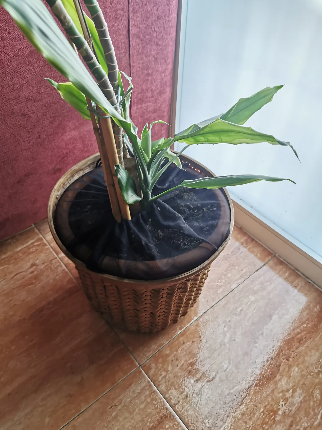 Reer Pflanzenschutz Netz Blumentopfschutz 30 cm einzeln