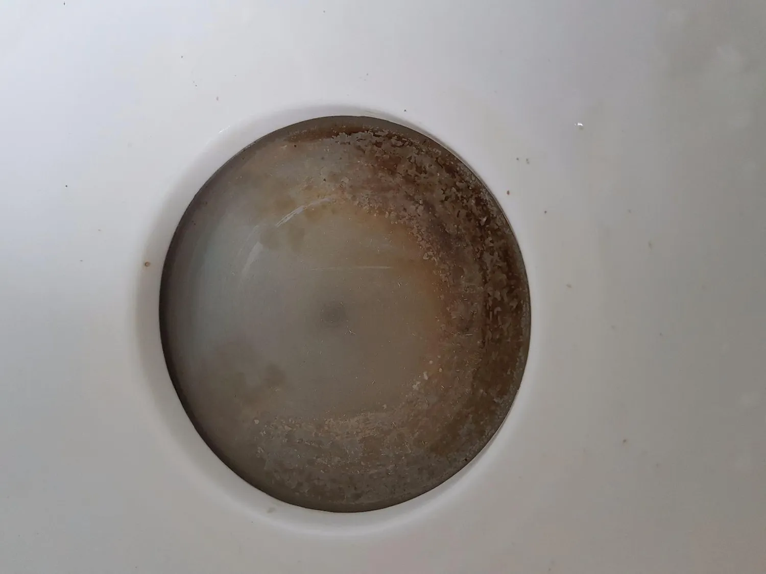 Reer VapoMat Dampfsterilisator 6 Flaschen chemiefrei