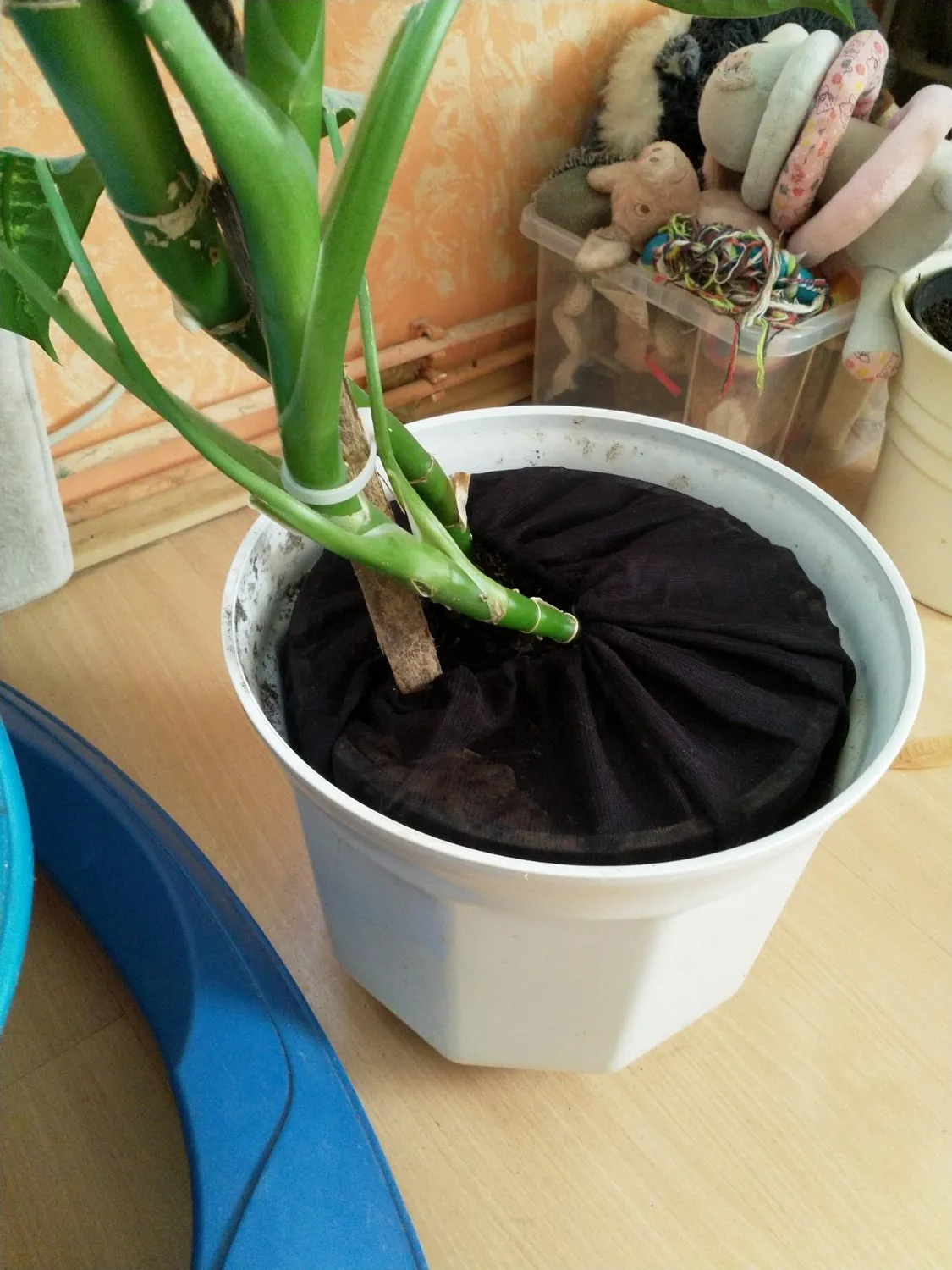 Reer Pflanzenschutz Netz Blumentopfschutz 30 cm einzeln