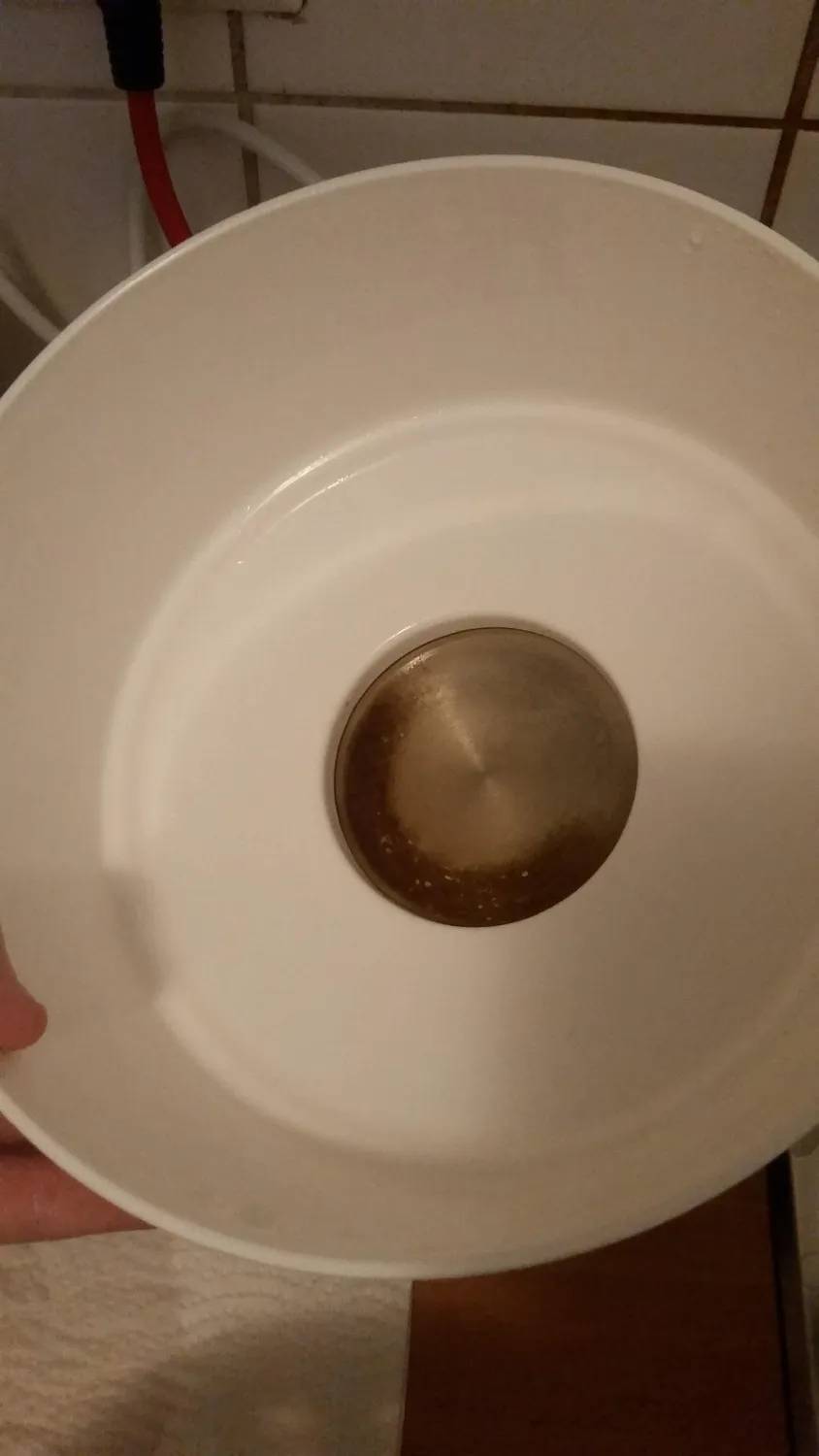Reer VapoMat Dampfsterilisator 6 Flaschen chemiefrei