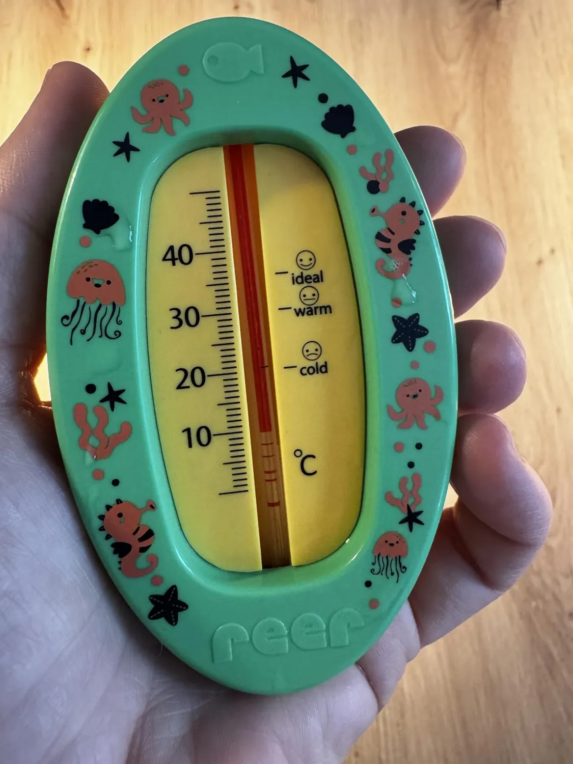 Reer Baby-Thermometer Badethermometer grau bruchsicher
