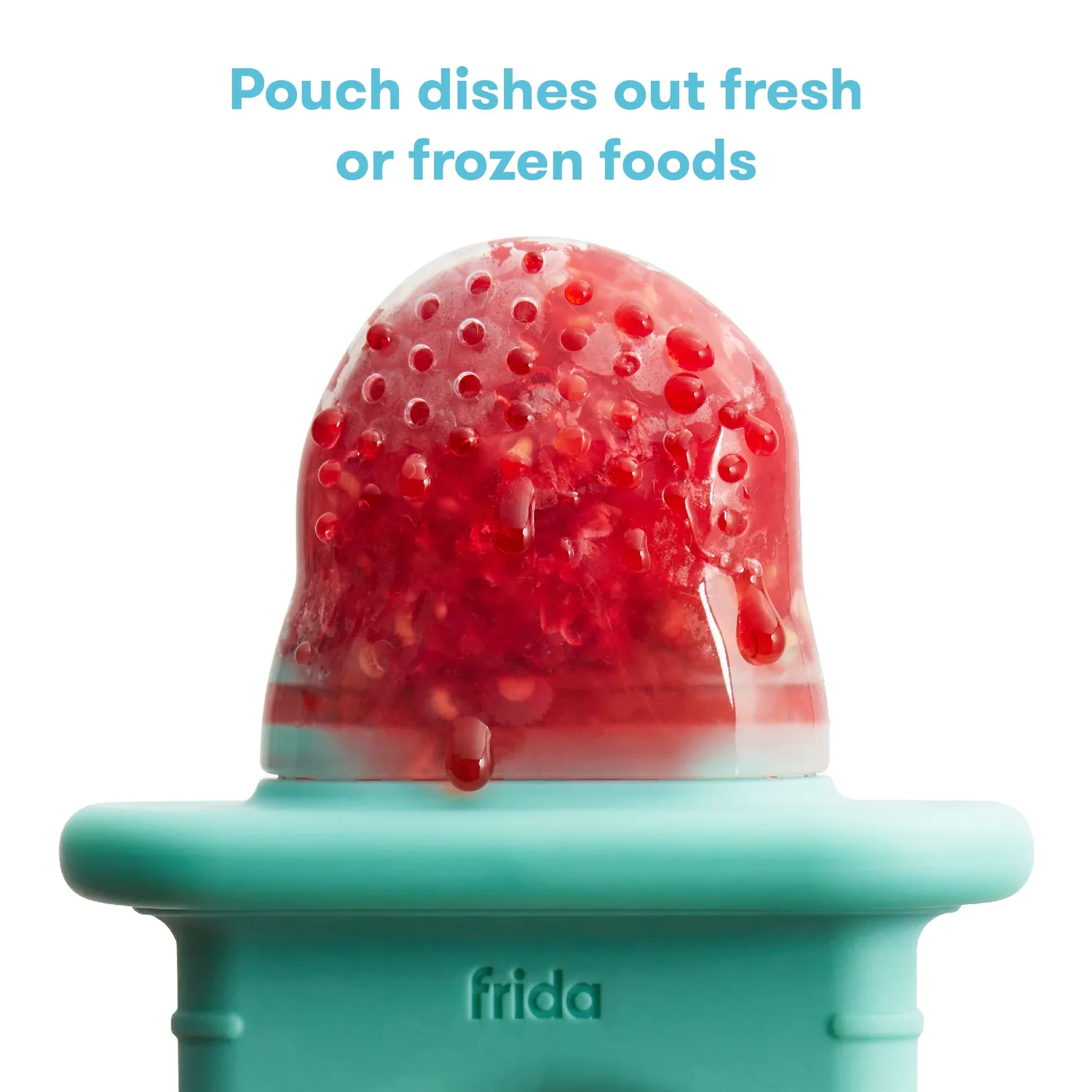 Frida Baby Push Pop Feeder Fruchtsauger