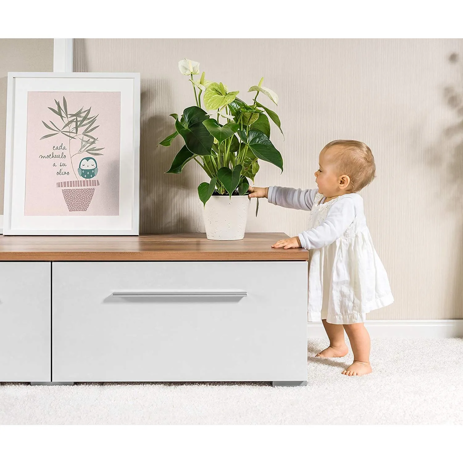 Reer Pflanzenschutz Netz Blumentopfschutz 30 cm einzeln