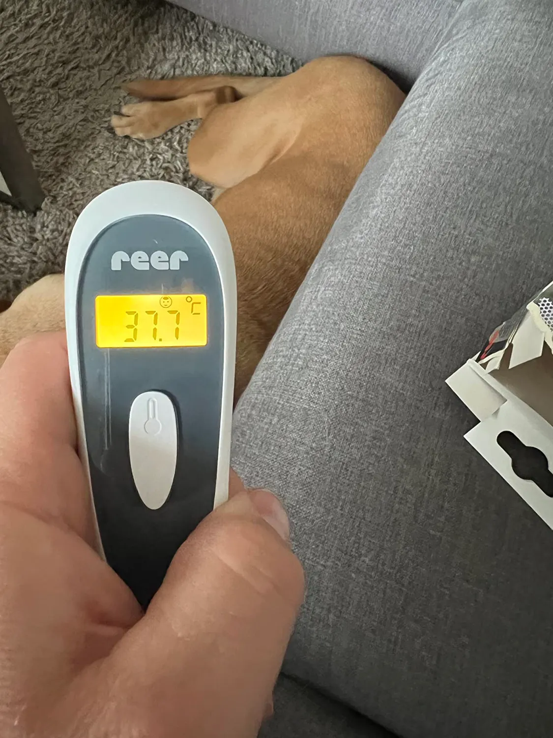 Reer Colour SoftTemp 3in1 Fieberthermometer kontaktlos