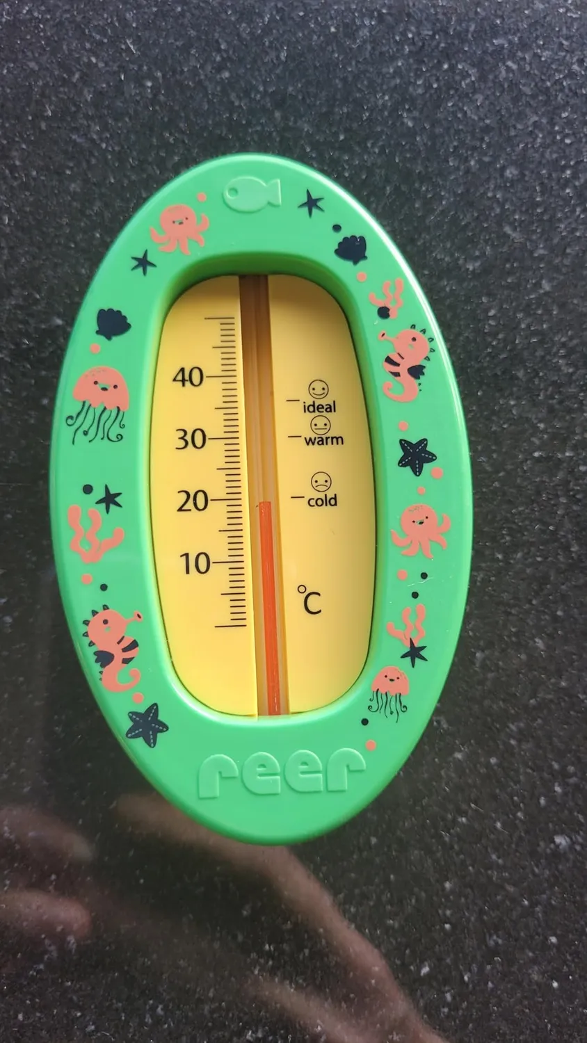 Reer Baby-Thermometer Badethermometer grau bruchsicher
