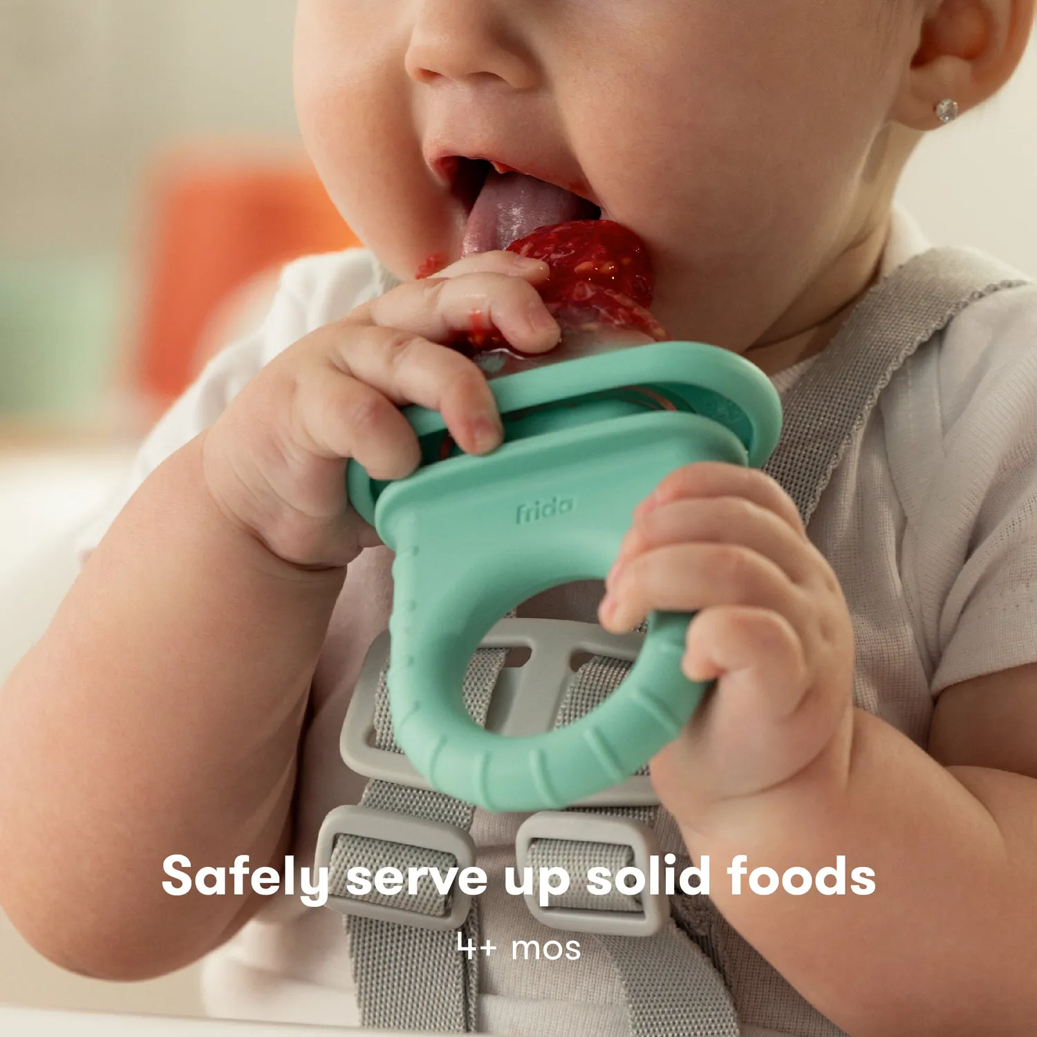 Frida Baby Push Pop Feeder Fruchtsauger