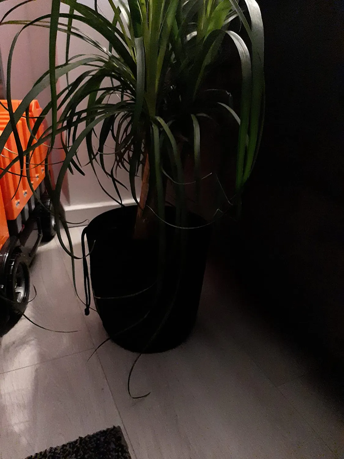 Reer Pflanzenschutz-Netz Blumentopfschutz bis 20 cm