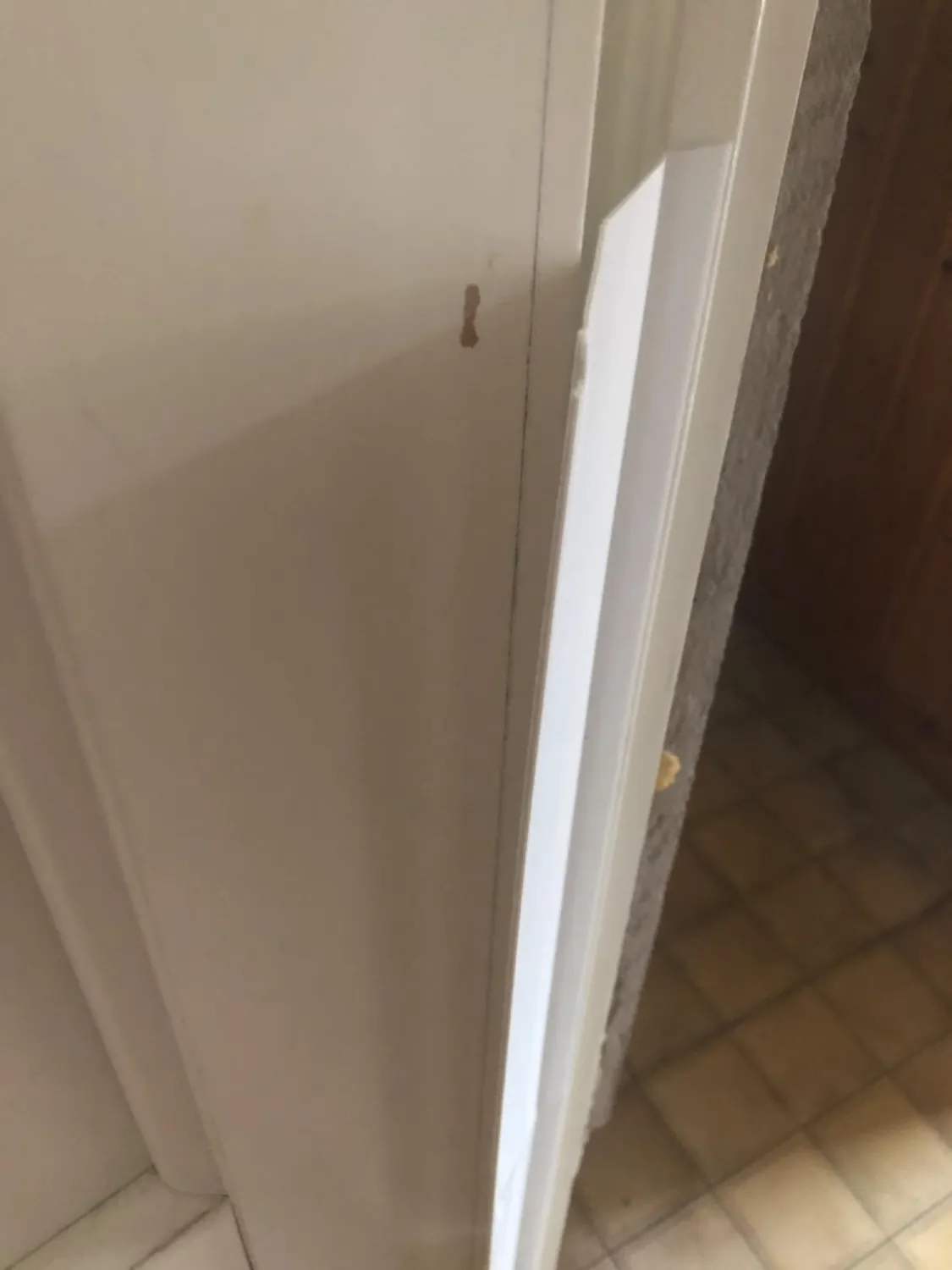 Reer Finger-Klemm-Schutz Türsicherung 180 cm mit Klebestreifen