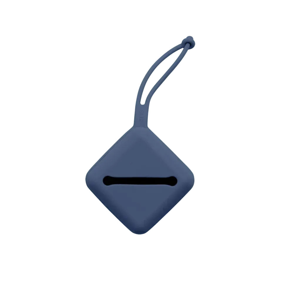 BIBS Schnullerbox Steel Blue Silikon 3er