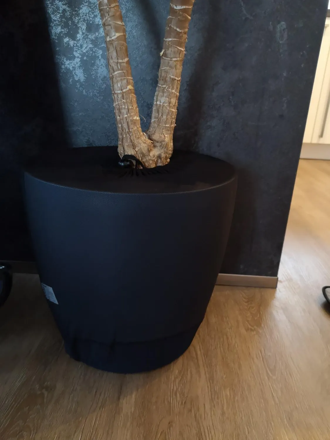 Reer Pflanzenschutz Netz Blumentopfschutz 30 cm einzeln